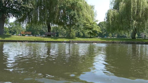 River Avon Stratford