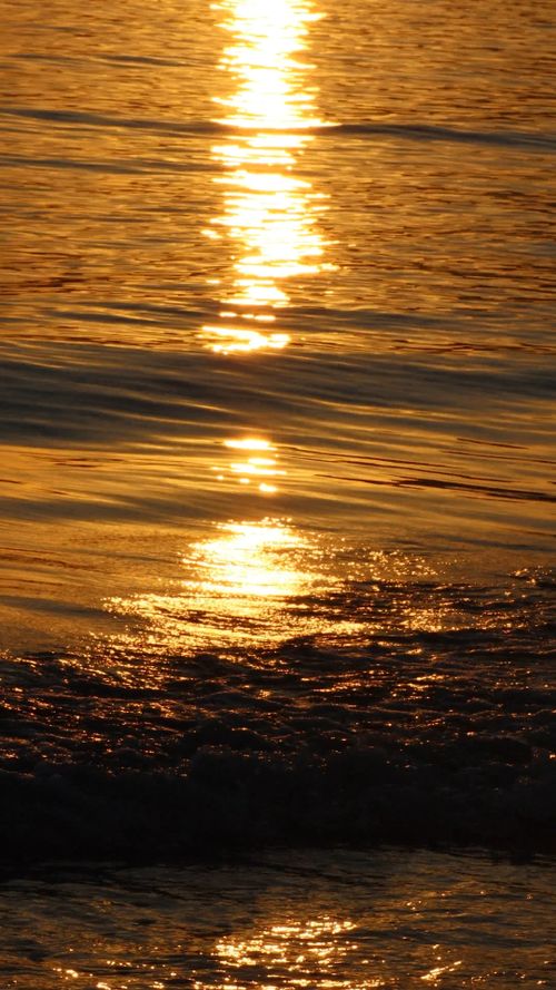 Slow Reflection Golden Sunrise Reflection on Calm Sea Surface in Slow Motion Free Stock ...