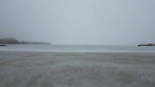 Dog walking on a frozen sea