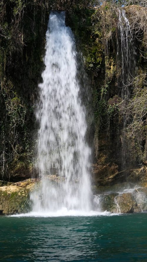 beautiful waterfall in the forest