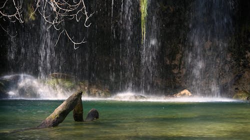 beautiful waterfall in the forest