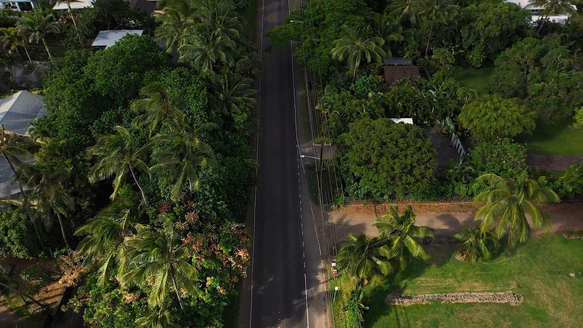 Video by Lukas Rodriguez