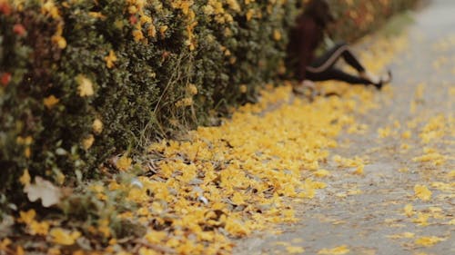 Woman Having A Photoshoot With Autumn Background