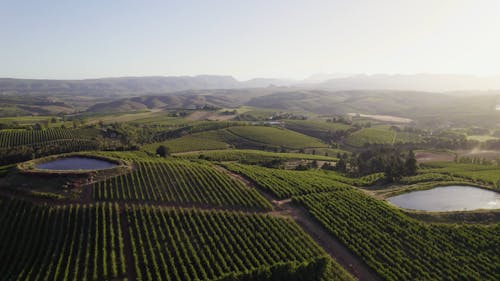  winelands and dams during sunset in south africa