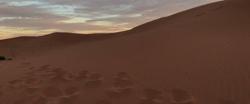 Un Désert Avec Vue Sur Le Coucher Du Soleil