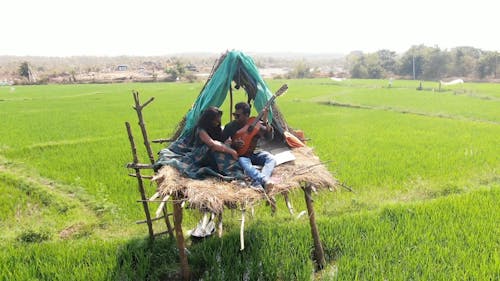 People In A Hut In The Middle Of A Rice Field