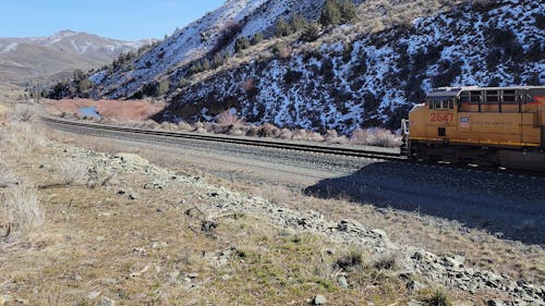 Freight train with multiple engines