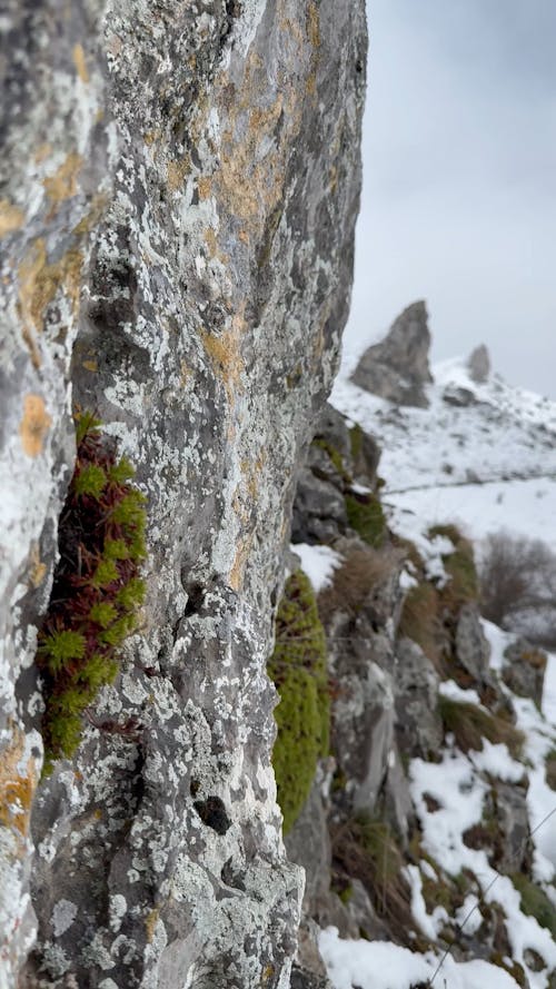 Stone and Snow