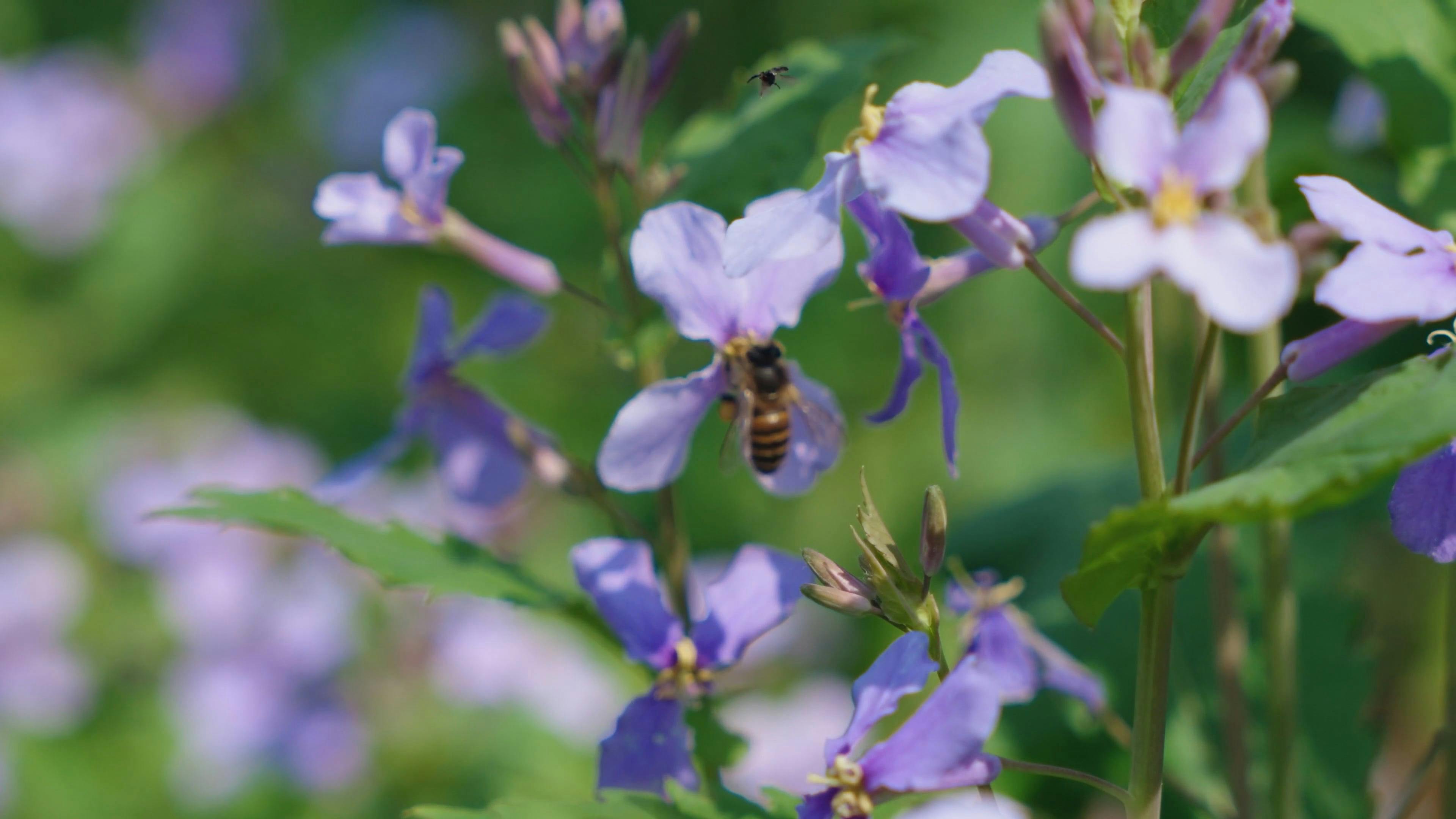 Video by Acres of Film