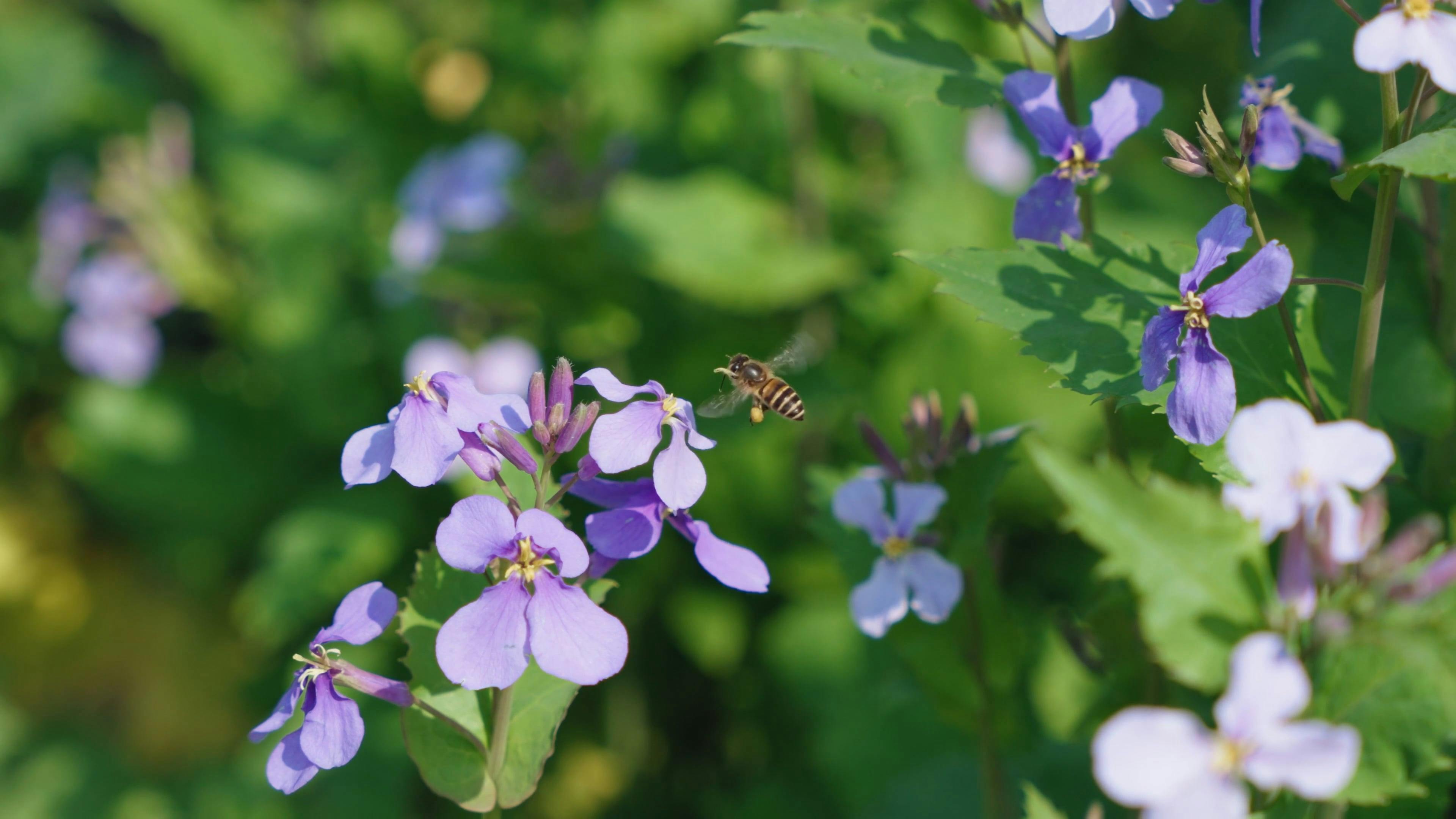 Video by Acres of Film