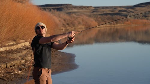 Fly Fishing Videos, Download The BEST Free 4k Stock Video Footage & Fly  Fishing HD Video Clips