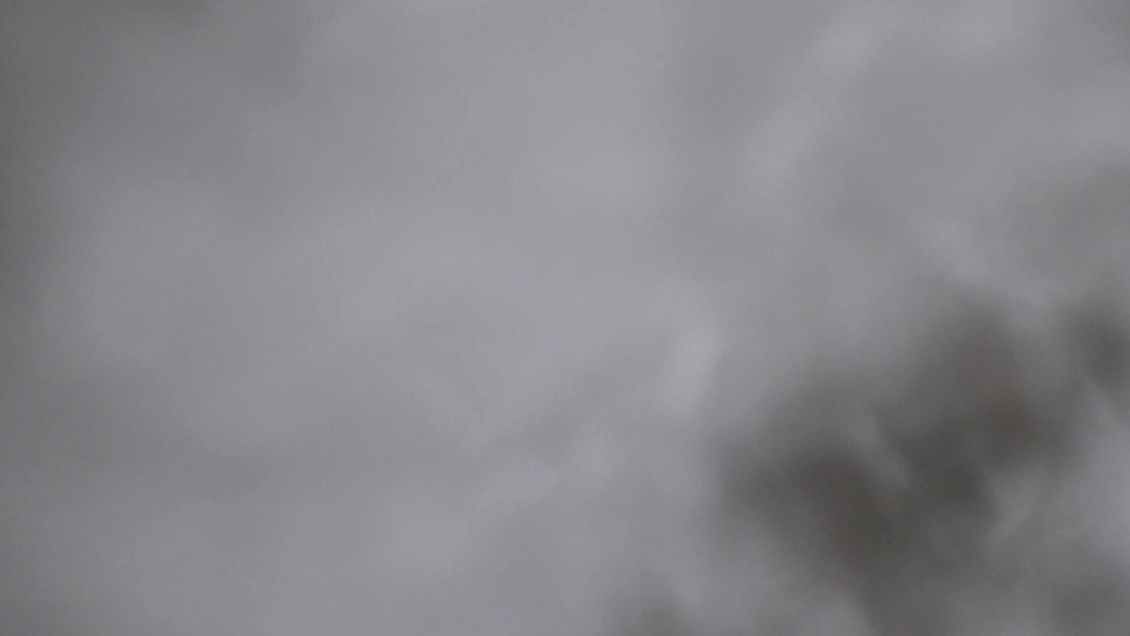 A close up of a stream flowing through a forest Free Stock Video ...