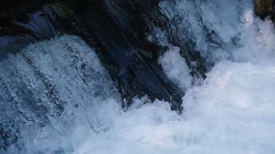 A close up of a stream with water flowing Free Stock Video Footage ...