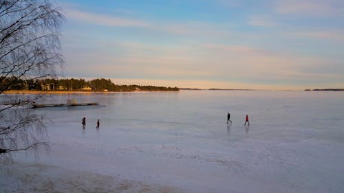 Waking on a frozen icy sea 