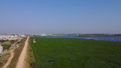 Desi+Masalaseen Videos, Download The BEST Free 4k Stock Video Footage
