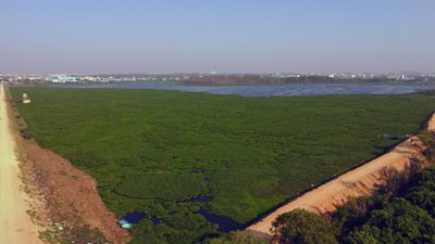 Desi+Phudi Videos, Download The BEST Free 4k Stock Video Footage & Desi