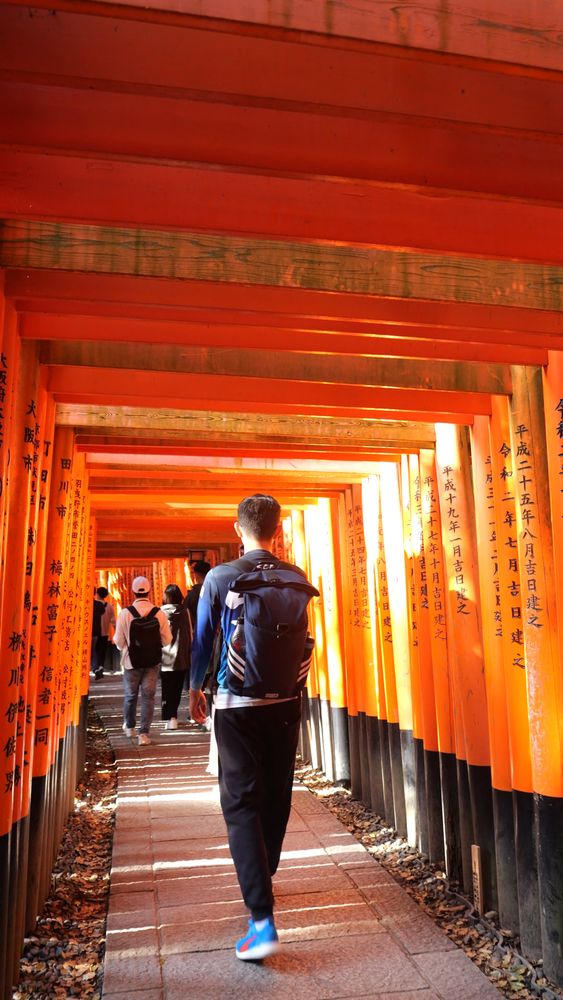 Fushimi Inari Shrine Videos, Download The BEST Free 4k Stock Video ...