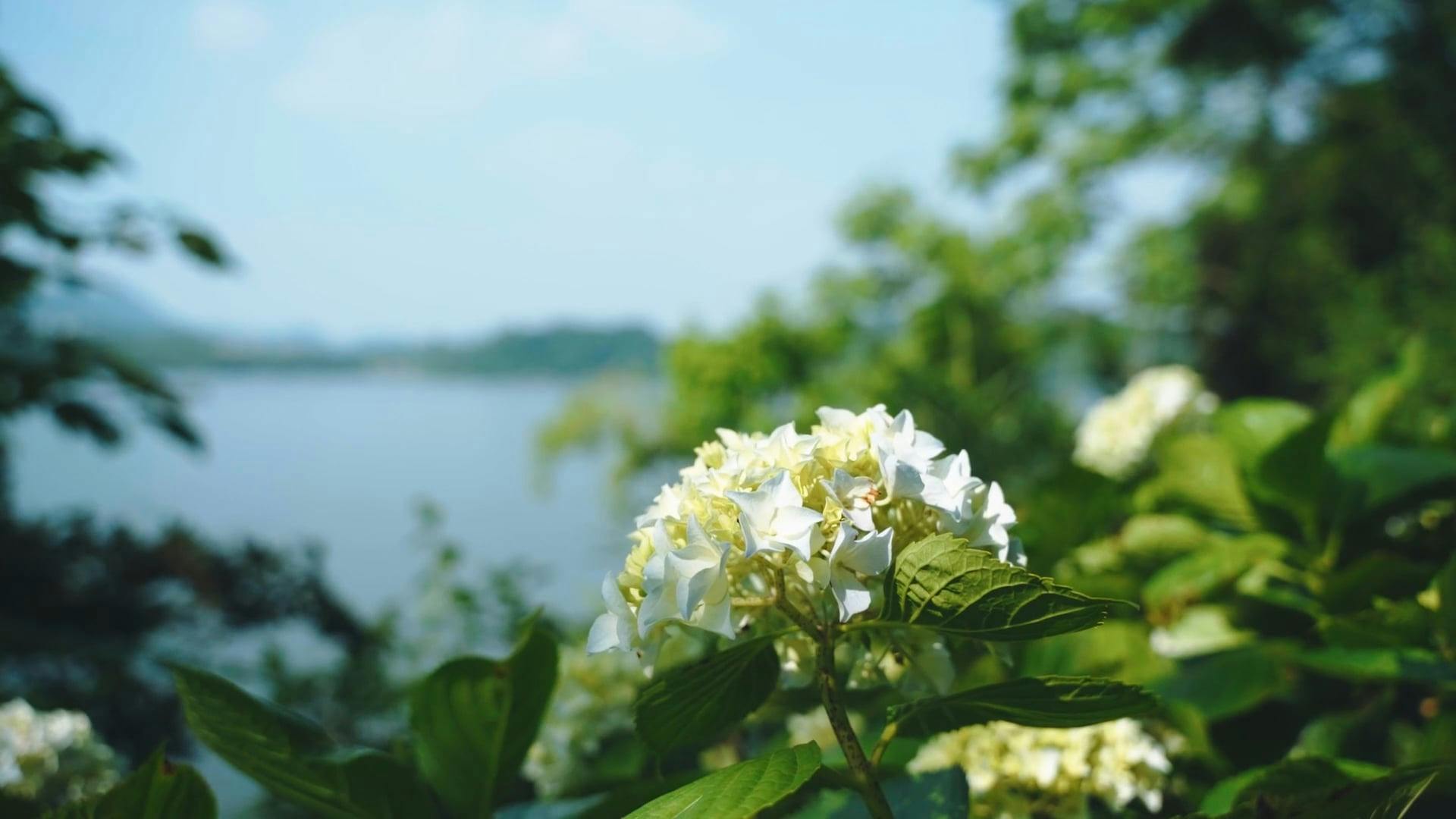 Video by Acres of Film