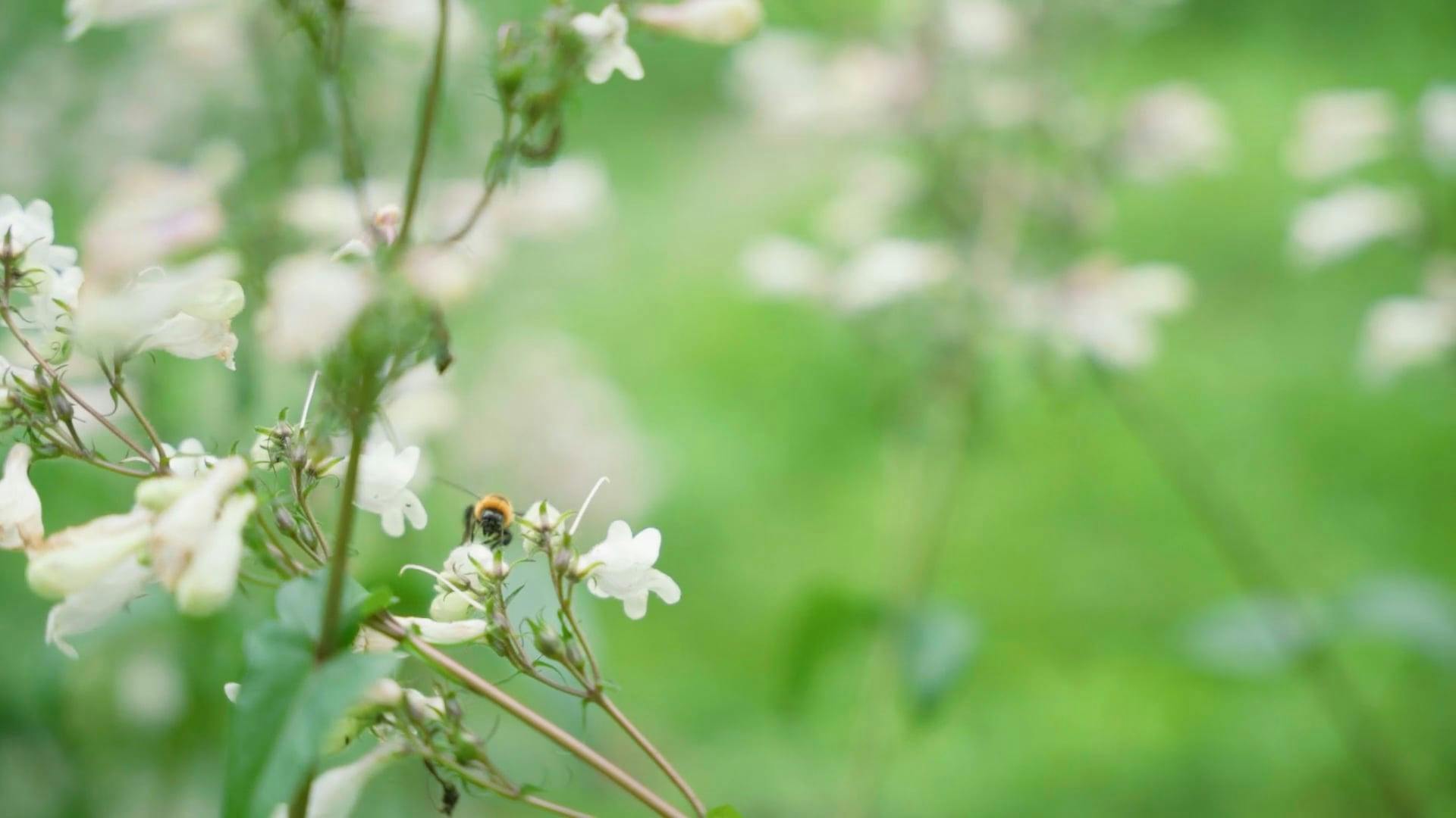 Video by Acres of Film