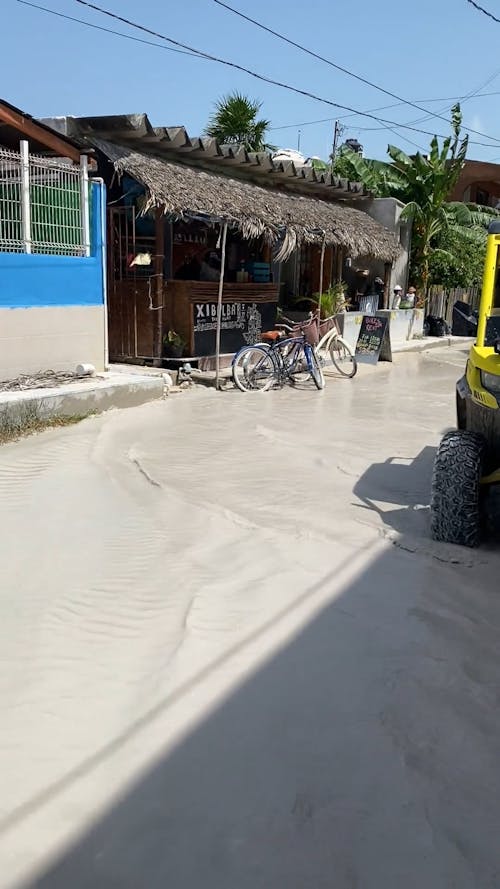 Wildness in Holbox