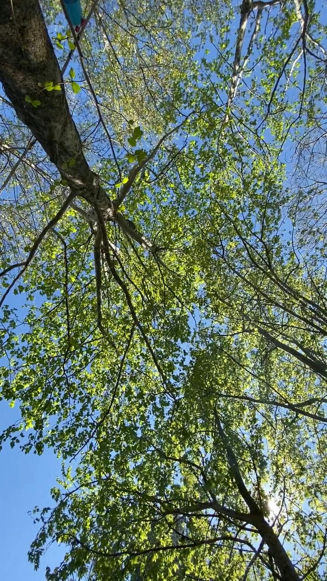Video by İlyas İsiner