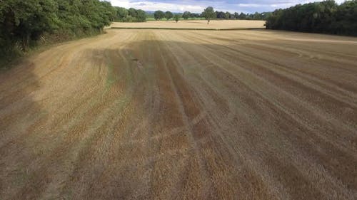 Drone View Of An Agricultural Land 