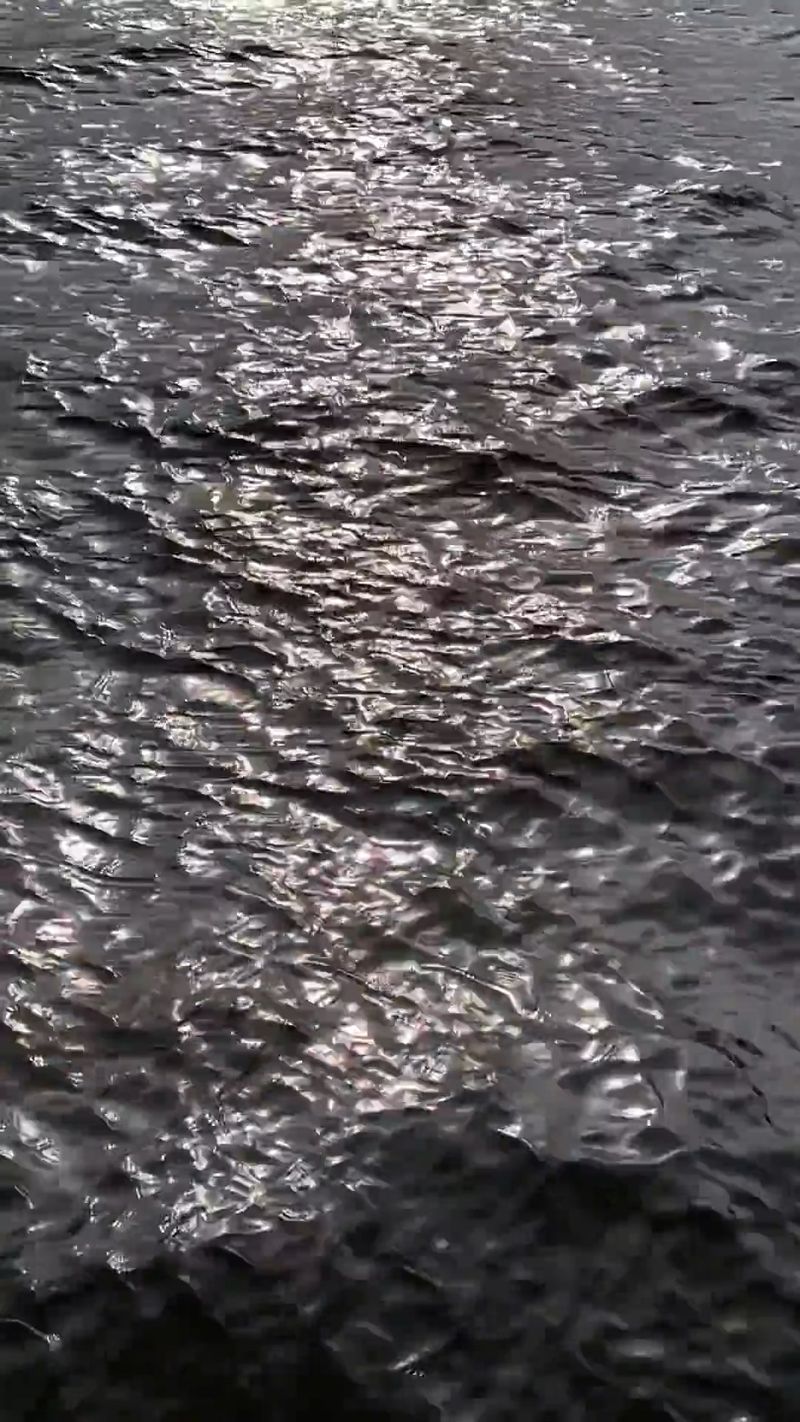 Reflection of Light in the Water Free Stock Video Footage, Royalty-Free ...