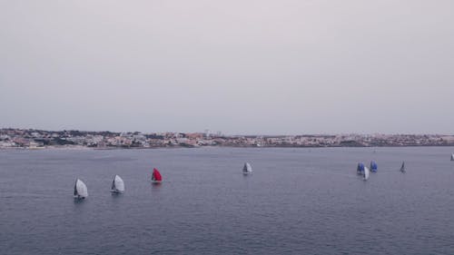 Small Sailboats Glide Across the Ocean in Cascais, Portugal