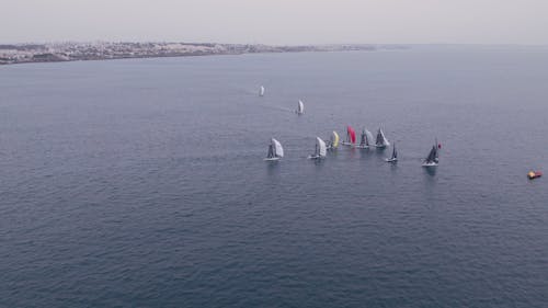 Ocean Sailing Contest with Graceful Small Sailboats in Cascais, Portugal