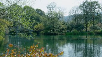 香山视频素材