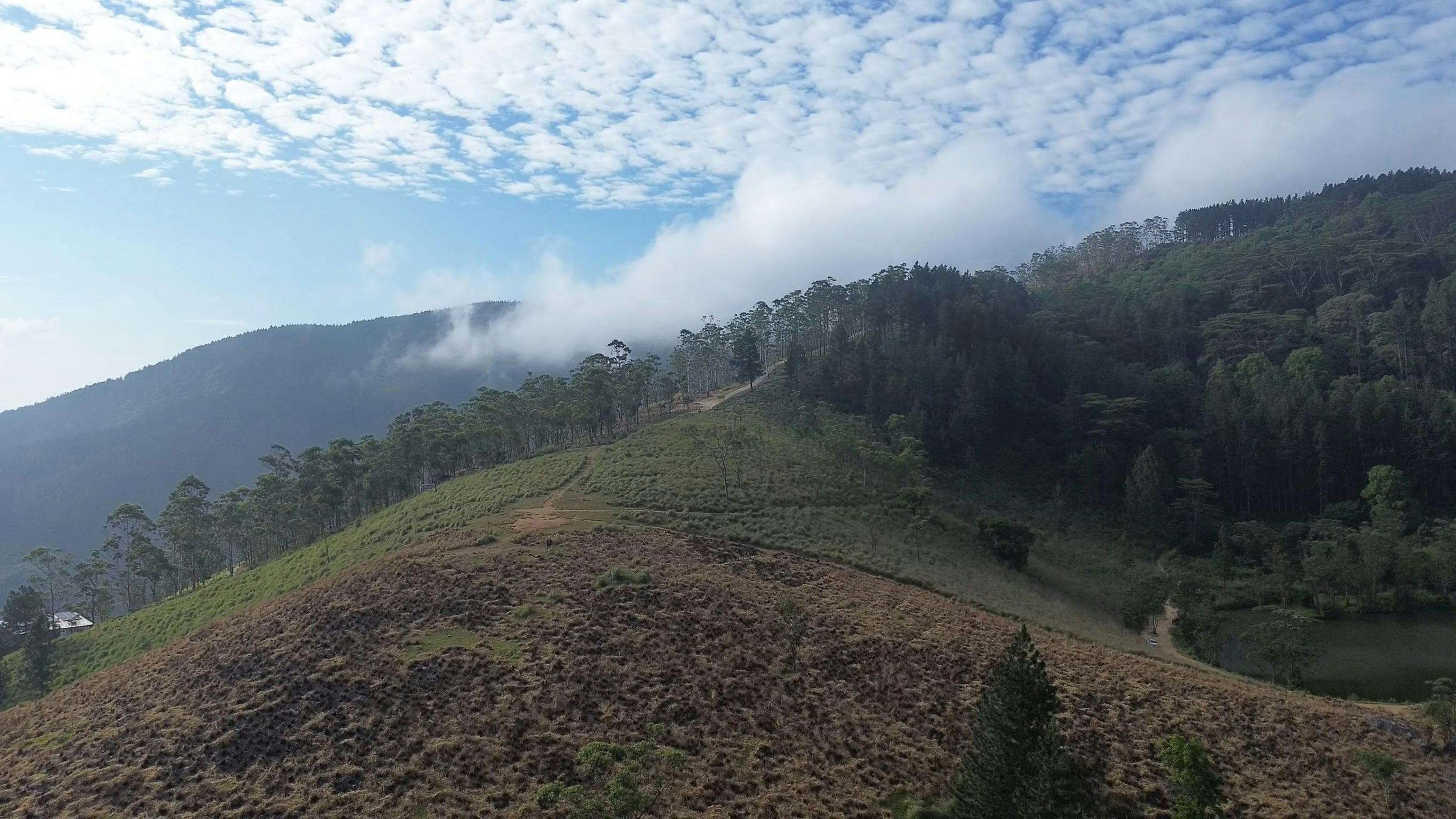 Video by Chanaka Herath