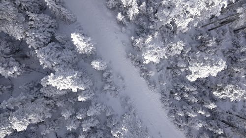 Drone Vista De Un Paisaje Invernal