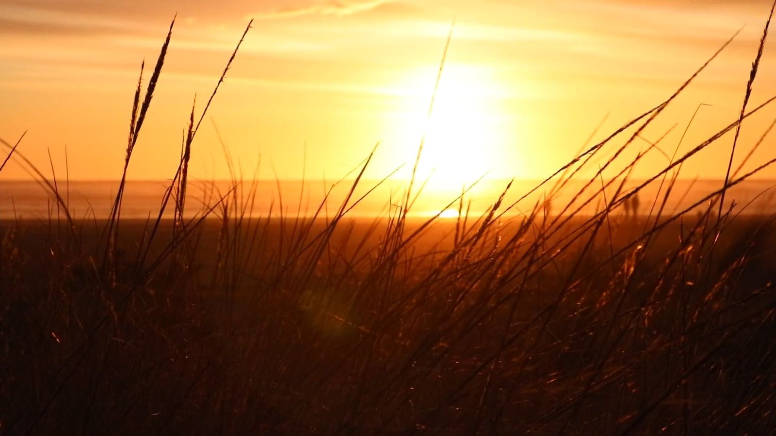Sun Videos Download The Best Free 4k Stock Video Footage Sun Hd