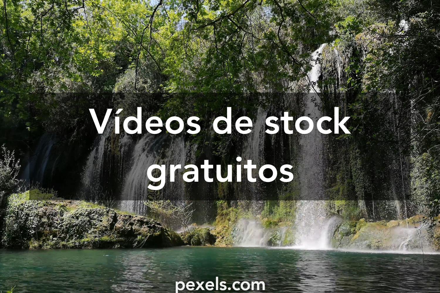 Los mejores 5000+ vídeos de Cascadas · Banco de Imágenes Gratis · Vídeos de  archivo de Pexels