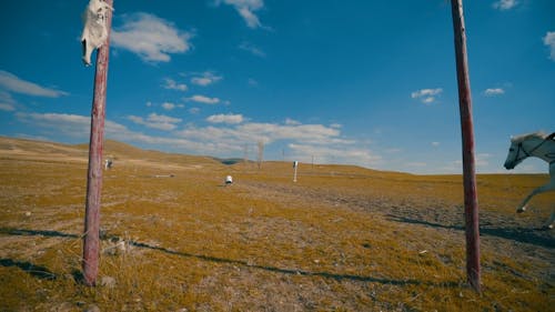 Personne à Cheval