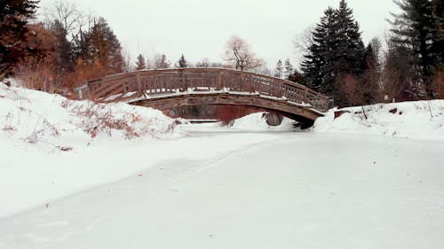 눈 덮힌 공원에 얼어 붙은 강
