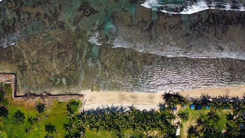 Luftaufnahme Eines Strandes Mit Klarem Wasser
