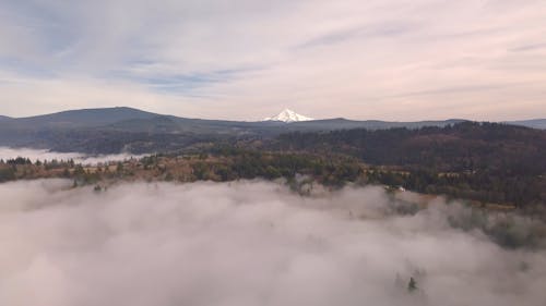 Un épais Brouillard Recouvre Le Sol