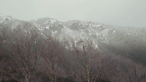 白雪覆盖的山脉