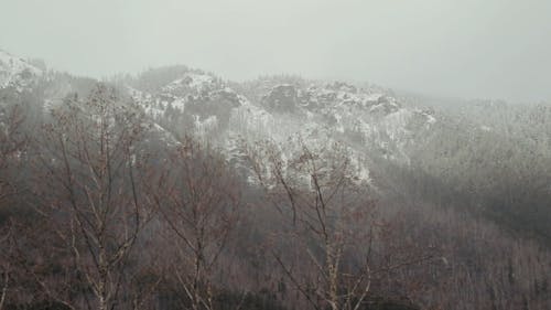 Bergen Bedekt Met Sneeuw