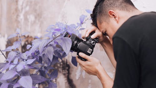 Man Taking Photo Of A Plant