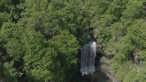 Watervallen In Het Midden Van Een Bos