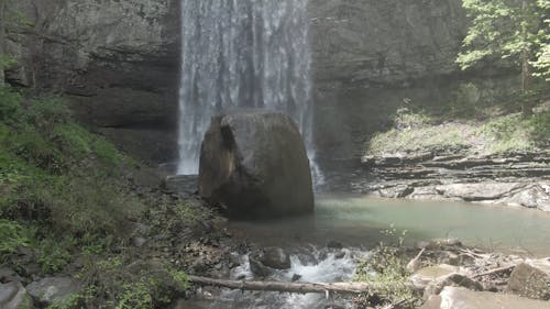 Uma Cachoeira Na Floresta