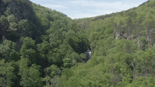 Watervallen In Het Bos