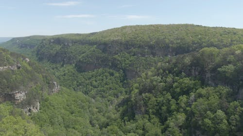 Berge Mit Reichlich Vorhandenen Bäumen