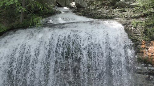 Chute D'eau Dans Une Forêt