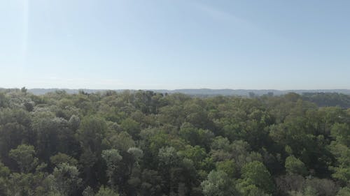 Aerial View Of A Town In Tennessee