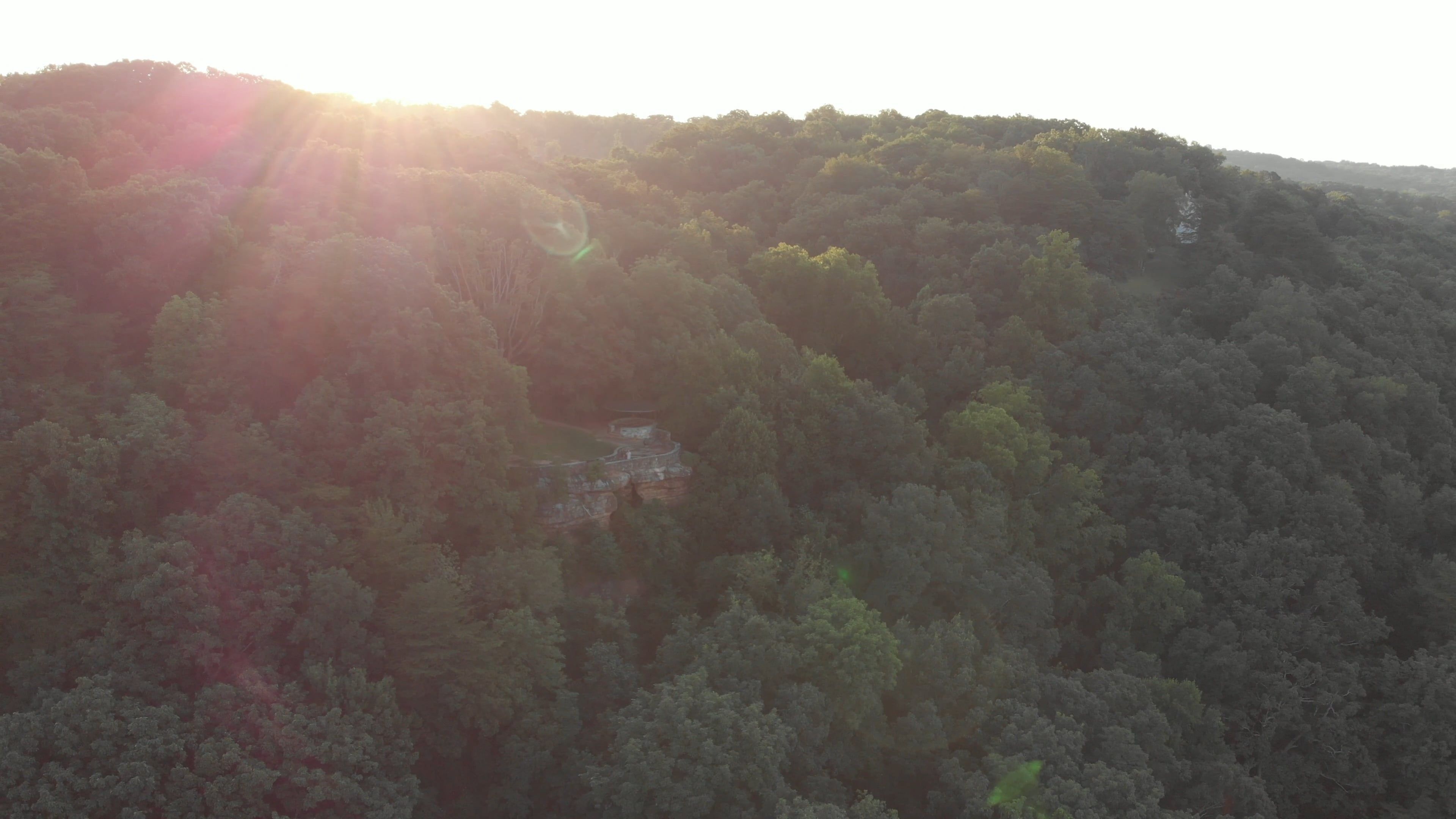 Drone Footage Of A Mountain Forest · Free Stock Video