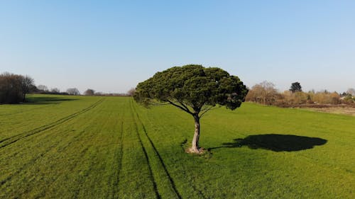 Imágenes Aéreas De Una Tierra De Cultivo