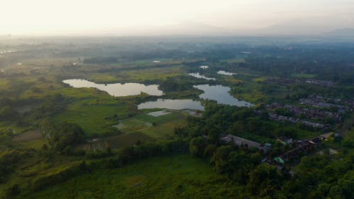 Ponds And Farmland In Aerial View